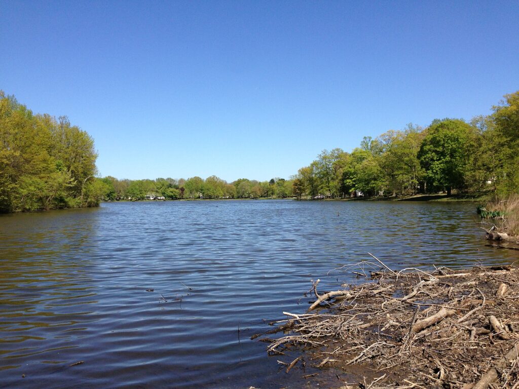 Colonial Lake
