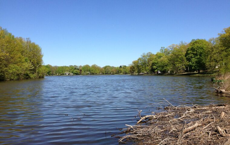 Colonial Lake