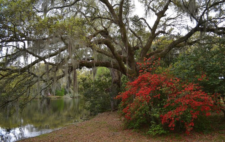 Charles Towne Landing State Historic Site