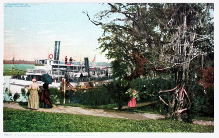 Magnolia Plantation and Gardens